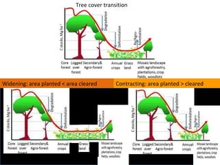 Indonesia NAMA success story