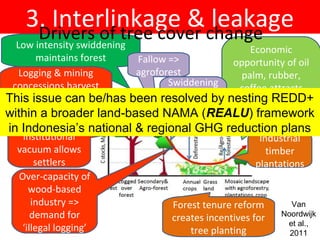 Indonesia NAMA success story