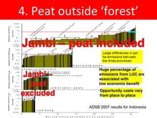 Indonesia NAMA success story
