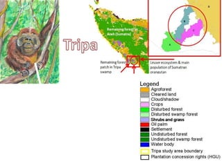 Indonesia NAMA success story