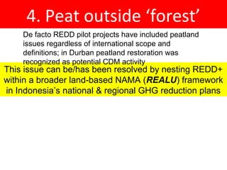 Indonesia NAMA success story