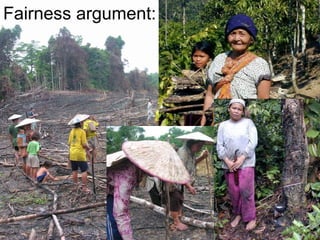 Indonesia NAMA success story