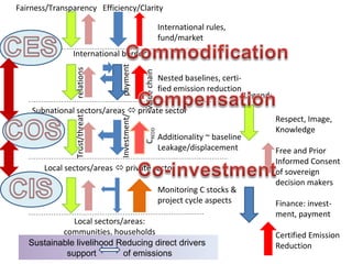 Indonesia NAMA success story
