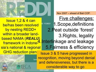 Indonesia NAMA success story