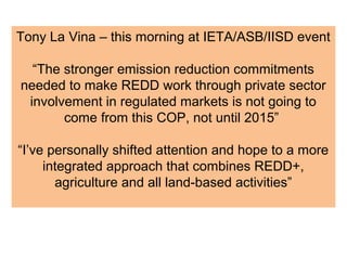 Indonesia NAMA success story