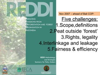 Indonesia NAMA success story