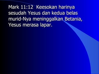 Mark 11:12 Keesokan harinya
sesudah Yesus dan kedua belas
murid-Nya meninggalkan Betania,
Yesus merasa lapar.
 