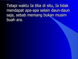 Tetapi waktu Ia tiba di situ, Ia tidak
mendapat apa-apa selain daun-daun
saja, sebab memang bukan musim
buah ara.
 