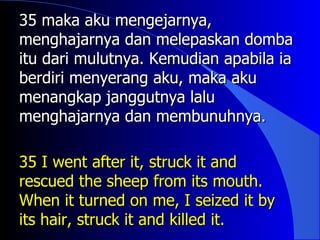 35 maka aku mengejarnya,
menghajarnya dan melepaskan domba
itu dari mulutnya. Kemudian apabila ia
berdiri menyerang aku, maka aku
menangkap janggutnya lalu
menghajarnya dan membunuhnya.

35 I went after it, struck it and
rescued the sheep from its mouth.
When it turned on me, I seized it by
its hair, struck it and killed it.
 