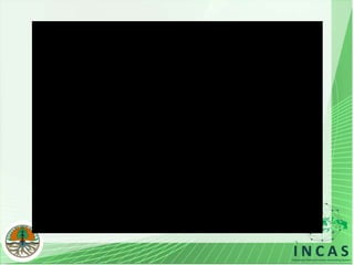 Indonesian national carbon accounting system