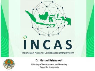 Indonesian national carbon accounting system