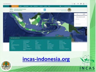 Indonesian national carbon accounting system