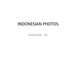 INDONESIAN PHOTOS

    Collection - 01
 