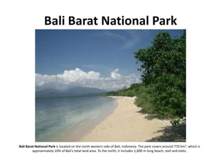 Indonesian Photos   01