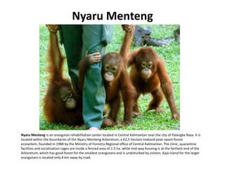 Indonesian Photos   01