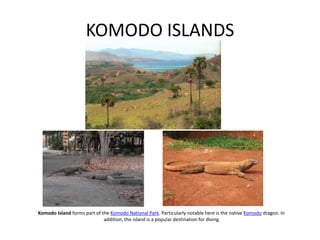 Indonesian Photos   01