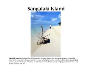 Indonesian Photos   01