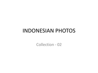 INDONESIAN PHOTOS

    Collection - 02
 