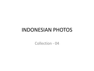INDONESIAN PHOTOS

    Collection - 04
 