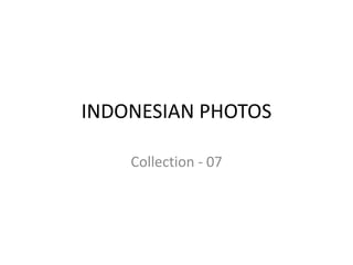 INDONESIAN PHOTOS

    Collection - 07
 