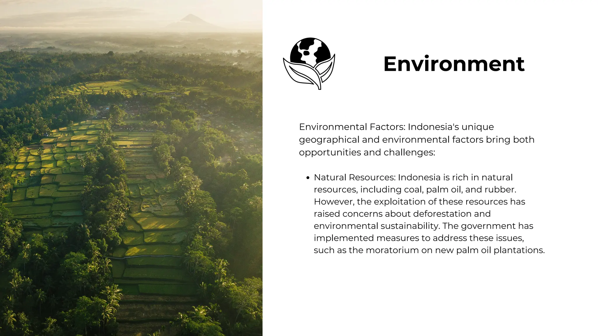 Environmental Factors: Indonesia's unique
geographical and environmental factors bring both
opportunities and challenges:
Natural Resources: Indonesia is rich in natural
resources, including coal, palm oil, and rubber.
However, the exploitation of these resources has
raised concerns about deforestation and
environmental sustainability. The government has
implemented measures to address these issues,
such as the moratorium on new palm oil plantations.
Environment
 