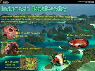 Indonesia BiodiversityConservation International (CI) considers Indonesia to be one of 17 “mega-diversity”countries -- with two of the world’s 25 “hotspots. Although Indonesia covers only 1.3 percent of the earth’s land surface, it includes:10 % of world’s flowering plant species25 % of world’s fish species12 % of world’s mammals species 17 % of world’s bird species16 % of world’s reptile and amphibian species