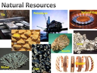 Natural ResourcesNatural GasPetroleumTinGoldSilverBauxiteCopperNickelCoalCoal
