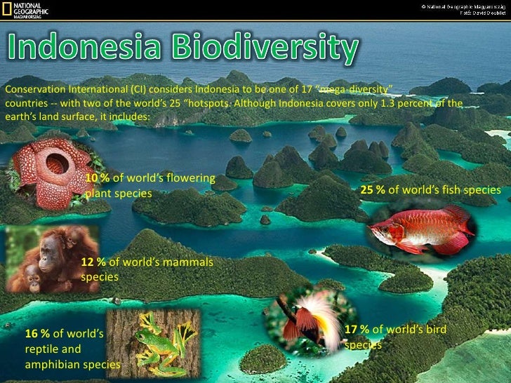Indonesia presentation English Indonesia presentation English
