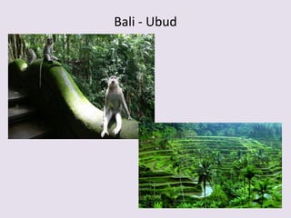 Bali - Ubud
 