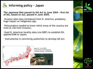 Informing policy - Japan The Japanese Diet passed its IAS Act in June 2004 - first list of IAS, based on Act, passed in June 2005.   Invasive alien bass introduced from N. America; predatory, huge impact on indigenous spp; Policymakers needed to know which areas of the country are most at risk from invasion; Used N. American locality data (via GBIF) to establish EN, applied ENM to Japan; Instrumental in convincing authorities to develop IAS Act. Iguchi, K., et al. 2004.  Transactions of the American Fisheries Society , 133:845-854.  