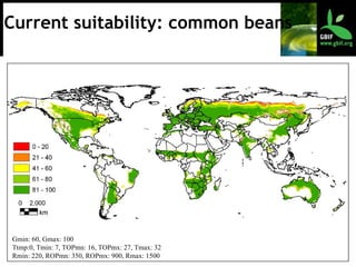 Gmin: 60, Gmax: 100 Ttmp:0, Tmin: 7, TOPmn: 16, TOPmx: 27, Tmax: 32 Rmin: 220, ROPmn: 350, ROPmx: 900, Rmax: 1500 Current suitability: common beans 