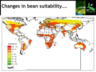 Changes in bean suitability…. 
