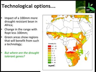 Impact of a 100mm more drought resistant bean in Africa; Change in the range with Ropt less 100mm; Green areas show regions that will benefit from such a technology; But where are the drought tolerant genes? Technological options…. 