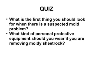 QUIZ 
• What is the first thing you should look 
for when there is a suspected mold 
problem? 
• What kind of personal protective 
equipment should you wear if you are 
removing moldy sheetrock? 
 