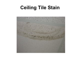 Ceiling Tile Stain 
 