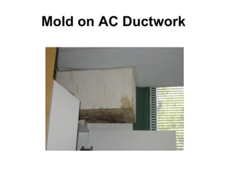 Mold on AC Ductwork 
 