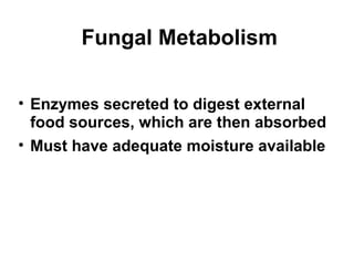 Fungal Metabolism 
• Enzymes secreted to digest external 
food sources, which are then absorbed 
• Must have adequate moisture available 
 