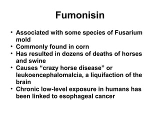 Fumonisin 
• Associated with some species of Fusarium 
mold 
• Commonly found in corn 
• Has resulted in dozens of deaths of horses 
and swine 
• Causes “crazy horse disease” or 
leukoencephalomalcia, a liquifaction of the 
brain 
• Chronic low-level exposure in humans has 
been linked to esophageal cancer 
 