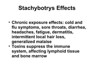 Stachybotrys Effects 
• Chronic exposure effects: cold and 
flu symptoms, sore throats, diarrhea, 
headaches, fatigue, dermatitis, 
intermittent local hair loss, 
generalized malaise 
• Toxins suppress the immune 
system, affecting lymphoid tissue 
and bone marrow 
 
