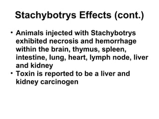 Stachybotrys Effects (cont.) 
• Animals injected with Stachybotrys 
exhibited necrosis and hemorrhage 
within the brain, thymus, spleen, 
intestine, lung, heart, lymph node, liver 
and kidney 
• Toxin is reported to be a liver and 
kidney carcinogen 
 