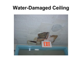 Water-Damaged Ceiling 
 