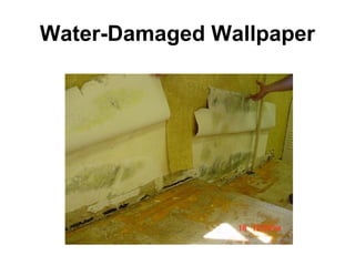 Water-Damaged Wallpaper 
 