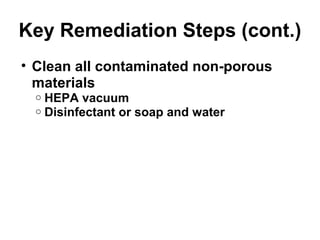 Key Remediation Steps (cont.) 
• Clean all contaminated non-porous 
materials 
o HEPA vacuum 
o Disinfectant or soap and water 
 