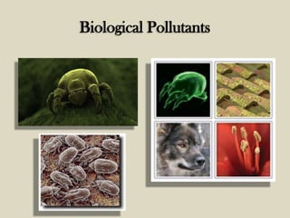Indoor Air Quality | PPTX