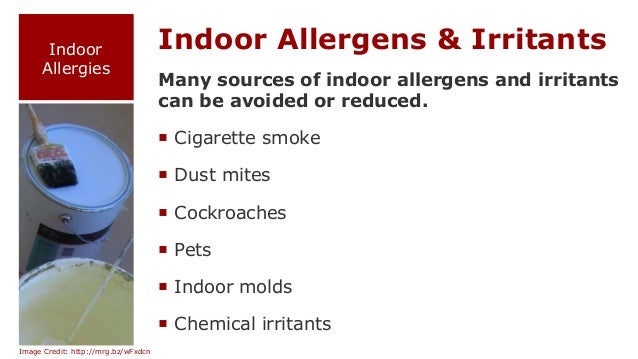 What Causes Indoor Allergies – How to Manage 3 Common Causes of Indoor ...