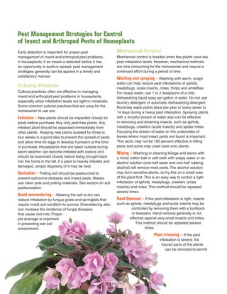 Pest Management Strategies for Control
of Insect and Arthropod Pests of Houseplants
Mechanical Control
Mechanical control is feasible when few plants have low
pest infestation levels. However, mechanical methods
are time consuming for the homeowner and require a
continued effort during a period of time.
Washing and spraying – Washing with warm, soapy
water can help reduce pest infestations of aphids,
mealybugs, scale insects, mites, thrips and whiteﬂies.
For soapy water, use 1 to 2 teaspoons of a mild
dishwashing liquid soap per gallon of water. Do not use
laundry detergent or automatic dishwashing detergent.
Routinely wash plants twice per year or every seven to
14 days during a heavy pest infestation. Spraying plants
with a forceful stream of water also can be effective
in removing and drowning insects, such as aphids,
mealybugs, crawlers (scale insects) and spider mites.
Focusing the stream of water on the undersides of
leaves where most insect pests are found is important.
This tactic may not be 100 percent effective in killing
pests and some may crawl back onto plants.
Wiping – Washing or cleaning foliage and stems with
a moist cotton ball or soft cloth with soapy water or an
alcohol solution (one-half water and one-half rubbing
alcohol) will remove most pests. The alcohol solution
may burn sensitive plants, so try this on a small area
of the plant ﬁrst. This is an easy way to control a light
infestation of aphids, mealybugs, crawlers (scale
insects) and mites. This method should be repeated
several times.
Hand Removal – If the pest infestation is light, insects
such as aphids, mealybugs and scale insects may be
controlled by removing them with a toothpick
or tweezers. Hand removal generally is not
effective against very small insects and mites.
This method should be repeated several
times.
Plant trimming – If the pest
infestation is severe, the
injured parts of the plants
can be removed to permit
Early detection is important for proper pest
management of insect and arthropod pest problems
in houseplants. If an insect is detected before it has
an opportunity to build or spread, pest management
strategies generally can be applied in a timely and
satisfactory manner.
Cultural Practices
Cultural practices often are effective in managing
insect and arthropod pest problems in houseplants,
especially when infestation levels are light or moderate.
Some common cultural practices that are easy for the
homeowner to use are:
Exclusion – New plants should be inspected closely for
pests before purchase. Buy only pest-free plants. Any
infested plant should be separated immediately from
other plants. Keeping new plants isolated for three to
four weeks is a good idea to prevent the spread of pests
and allow time for eggs to develop if present at the time
of purchase. Houseplants that are taken outside during
warm weather can become infested with insects and
should be examined closely before being brought back
into the home in the fall. If a plant is heavily infested and
damaged, simply disposing of it may be best.
Sanitation – Potting soil should be pasteurized to
prevent soil-borne diseases and insect pests. Always
use clean pots and potting materials. See section on soil
pasteurization.
Avoid overwatering – Allowing the soil to dry can
reduce infestation by fungus gnats and springtails that
require moist soil condition to survive. Overwatering also
can increase the incidence of fungal diseases
that cause root rots. Proper
pot drainage is important
in preventing wet soil
environment.
10
 