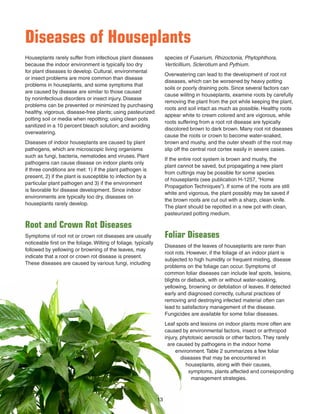 Diseases of Houseplants
Houseplants rarely suffer from infectious plant diseases
because the indoor environment is typically too dry
for plant diseases to develop. Cultural, environmental
or insect problems are more common than disease
problems in houseplants, and some symptoms that
are caused by disease are similar to those caused
by noninfectious disorders or insect injury. Disease
problems can be prevented or minimized by purchasing
healthy, vigorous, disease-free plants; using pasteurized
potting soil or media when repotting; using clean pots
sanitized in a 10 percent bleach solution; and avoiding
overwatering.
Diseases of indoor houseplants are caused by plant
pathogens, which are microscopic living organisms
such as fungi, bacteria, nematodes and viruses. Plant
pathogens can cause disease on indoor plants only
if three conditions are met: 1) if the plant pathogen is
present, 2) if the plant is susceptible to infection by a
particular plant pathogen and 3) if the environment
is favorable for disease development. Since indoor
environments are typically too dry, diseases on
houseplants rarely develop.
Root and Crown Rot Diseases
Symptoms of root rot or crown rot diseases are usually
noticeable ﬁrst on the foliage. Wilting of foliage, typically
followed by yellowing or browning of the leaves, may
indicate that a root or crown rot disease is present.
These diseases are caused by various fungi, including
species of Fusarium, Rhizoctonia, Phytophthora,
Verticillium, Sclerotium and Pythium.
Overwatering can lead to the development of root rot
diseases, which can be worsened by heavy potting
soils or poorly draining pots. Since several factors can
cause wilitng in houseplants, examine roots by carefully
removing the plant from the pot while keeping the plant,
roots and soil intact as much as possible. Healthy roots
appear white to cream colored and are vigorous, while
roots suffering from a root rot disease are typically
discolored brown to dark brown. Many root rot diseases
cause the roots or crown to become water-soaked,
brown and mushy, and the outer sheath of the root may
slip off the central root cortex easily in severe cases.
If the entire root system is brown and mushy, the
plant cannot be saved, but propagating a new plant
from cuttings may be possible for some species
of houseplants (see publication H-1257, “Home
Propagation Techniques”). If some of the roots are still
white and vigorous, the plant possibly may be saved if
the brown roots are cut out with a sharp, clean knife.
The plant should be repotted in a new pot with clean,
pasteurized potting medium.
Foliar Diseases
Diseases of the leaves of houseplants are rarer than
root rots. However, if the foliage of an indoor plant is
subjected to high humidity or frequent misting, disease
problems on the foliage can occur. Symptoms of
common foliar diseases can include leaf spots, lesions,
blights or dieback, with or without water-soaking,
yellowing, browning or defoliation of leaves. If detected
early and diagnosed correctly, cultural practices of
removing and destroying infected material often can
lead to satisfactory management of the disease.
Fungicides are available for some foliar diseases.
Leaf spots and lesions on indoor plants more often are
caused by environmental factors, insect or arthropod
injury, phytotoxic aerosols or other factors. They rarely
are caused by pathogens in the indoor home
environment. Table 2 summarizes a few foliar
diseases that may be encountered in
houseplants, along with their causes,
symptoms, plants affected and corresponding
management strategies.
13
 
