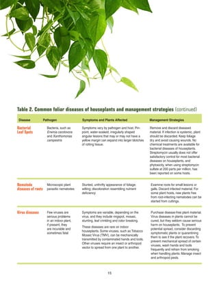Bacterial
Leaf Spots
Bacteria, such as
Erwinia carotovora
and Xanthomonas
campestris
Symptoms vary by pathogen and host. Pin-
point, water-soaked, irregularly shaped
angular lesions that may or may not have a
yellow margin can expand into larger blotches
of rotting tissue.
Remove and discard diseased
material. If infection is systemic, plant
should be discarded. Keep foliage
dry and avoid causing wounds. No
chemical treatments are available for
bacterial diseases of houseplants.
Streptomycin usually does not offer
satisfactory control for most bacterial
diseases on houseplants, and
phytoxicity, when using streptomycin
sulfate at 200 parts per million, has
been reported on some hosts.
Table 2. Common foliar diseases of houseplants and management strategies (continued)
Disease Pathogen Symptoms and Plants Affected Management Strategies
Nematode
diseases of roots
Microscopic plant
parasitic nematodes
Stunted, unthrifty appearance of foliage;
wilting; discoloration resembling nutrient
deﬁciency
Examine roots for small lesions or
galls. Discard infected material. For
some plant hosts, new plants free
from root-infecting nematodes can be
started from cuttings.
Virus diseases Few viruses are
serious problems
in an indoor plant,
if present, they
are incurable and
sometimes fatal
Symptoms are variable, depending on the
virus, and they include ringspot, mosaic,
stunting, leaf crinkling and color breaking.
These diseases are rare on indoor
houseplants. Some viruses, such as Tobacco
Mosaic Virus (TMV), can be mechanically
transmitted by contaminated hands and tools.
Other viruses require an insect or arthropod
vector to spread from one plant to another.
Purchase disease-free plant material.
Virus diseases in plants cannot be
cured, but they seldom cause serious
harm on houseplants. To prevent
potential spread, consider discarding
symptomatic plants or quarantining
them to see if the plant recovers. To
prevent mechanical spread of certain
viruses, wash hands and tools
frequently and refrain from smoking
when handling plants. Manage insect
and arthropod pests.
15
 
