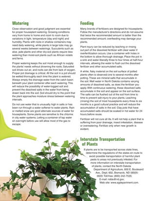 Watering
Close observation and good judgment are essential
for proper houseplant watering. Growing conditions
vary from home to home and room to room due to
variations in light, temperature (day and night) and
humidity. Plants with roots in shallow containers may
need daily watering, while plants in large tubs may go
several weeks between waterings. Succulents such as
aloe, jade plants and other dry-soil plants require less
watering than moist-soil plants such as African violets
and ferns.
Proper watering keeps the soil moist enough to supply
the plants’ needs without drowning the roots. Saturated
soil drives out air, and roots can die from lack of oxygen.
Proper pot drainage is critical. All the soil in a pot should
be wetted thoroughly each time the plant is watered.
Always empty the drainage water from the catch basin
beneath your plant container after each watering. This
will reduce the possibility of water-logged soil and
prevent the dissolved salts in the water from being
drawn back into the soil. Soil should dry to the point that
the plant approaches moisture stress between watering
intervals.
Do not use water that is unusually high in salts or has
been run through a water softener to water plants. Rain
or melted snow are good alternate sources of water for
houseplants. Some plants are sensitive to the chlorine
in city water systems. Letting a container of tap water
sit overnight before use will allow most of the gas to
escape.
Feeding
Many brands of fertilizers are designed for houseplants.
Follow the manufacturer’s directions and do not assume
that twice the recommended amount is better than the
recommended amount; overfeeding may damage your
plants.
Plant injury can be reduced by leaching or rinsing
out part of the dissolved fertilizer with clear water if
overfertilization occurs. Use a container with holes in
the bottom to allow thorough drainage. Place the pot in
a sink and water liberally three to four times at half-hour
intervals, allowing the water to ﬂush out the dissolved
fertilizer and other accumulated salts.
A white, ﬂaky material on the soil surface of potted
plants often is observed one to several months after
potting. These are mineral salts that accumulate in
the soil. Well water in North Dakota contains varying
amounts of dissolved salts, as does the fertilizer you
apply. With continuous watering, these dissolved salts
accumulate in the soil and appear on the soil surface.
The salts can be ﬂushed out of the soil from time to
time to prevent salt injury to your plants. Leaching
(rinsing) the soil of most houseplants every three to six
months is a good cultural practice and will reduce the
accumulation of salts in the soil. Clay pots that have
accumulated salts should be soaked in hot water for 24
hours before reuse.
Fertilizer will not cure all ills. It will not help a plant that is
suffering from poor drainage, insect infestation, disease
or overwatering. Fertilize only when new growth is
evident.
Interstate Transportation
of Plants
If plants are to be transported across state lines,
determine the regulations of the states en route to
avoid possible transportation of harmful plant
pests to areas not previously infested. For
more information on interstate transportation
of plants, contact the North Dakota
Department of Agriculture, 600 E. Boulevard
Ave., Dept. 602, Bismarck, ND 58505-
0020; Toll-free: (800) 242-7535;
E-mail: ndda@nd.gov;
Web site: www.agdepartment.com.
4
 