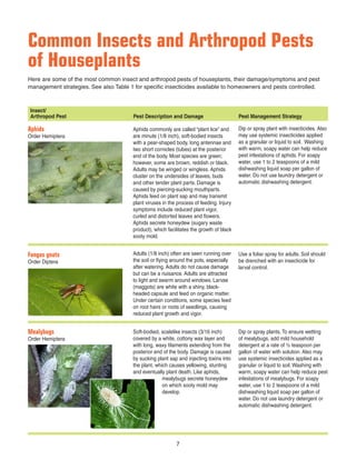 Common Insects and Arthropod Pests
of Houseplants
Here are some of the most common insect and arthropod pests of houseplants, their damage/symptoms and pest
management strategies. See also Table 1 for speciﬁc insecticides available to homeowners and pests controlled.
Insect/
Arthropod Pest Pest Description and Damage Pest Management Strategy
Aphids
Order Hemiptera
Aphids commonly are called “plant lice” and
are minute (1/8 inch), soft-bodied insects
with a pear-shaped body, long antennae and
two short cornicles (tubes) at the posterior
end of the body. Most species are green;
however, some are brown, reddish or black.
Adults may be winged or wingless. Aphids
cluster on the undersides of leaves, buds
and other tender plant parts. Damage is
caused by piercing-sucking mouthparts.
Aphids feed on plant sap and may transmit
plant viruses in the process of feeding. Injury
symptoms include reduced plant vigor,
curled and distorted leaves and ﬂowers.
Aphids secrete honeydew (sugary waste
product), which facilitates the growth of black
sooty mold.
Dip or spray plant with insecticides. Also
may use systemic insecticides applied
as a granular or liquid to soil. Washing
with warm, soapy water can help reduce
pest infestations of aphids. For soapy
water, use 1 to 2 teaspoons of a mild
dishwashing liquid soap per gallon of
water. Do not use laundry detergent or
automatic dishwashing detergent.
Fungus gnats
Order Diptera
Adults (1/8 inch) often are seen running over
the soil or ﬂying around the pots, especially
after watering. Adults do not cause damage
but can be a nuisance. Adults are attracted
to light and swarm around windows. Larvae
(maggots) are white with a shiny, black-
headed capsule and feed on organic matter.
Under certain conditions, some species feed
on root hairs or roots of seedlings, causing
reduced plant growth and vigor.
Use a foliar spray for adults. Soil should
be drenched with an insecticide for
larval control.
Mealybugs
Order Hemiptera
Soft-bodied, scalelike insects (3/16 inch)
covered by a white, cottony wax layer and
with long, waxy ﬁlaments extending from the
posterior end of the body. Damage is caused
by sucking plant sap and injecting toxins into
the plant, which causes yellowing, stunting
and eventually plant death. Like aphids,
mealybugs secrete honeydew
on which sooty mold may
develop.
Dip or spray plants. To ensure wetting
of mealybugs, add mild household
detergent at a rate of ½ teaspoon per
gallon of water with solution. Also may
use systemic insecticides applied as a
granular or liquid to soil. Washing with
warm, soapy water can help reduce pest
infestations of mealybugs. For soapy
water, use 1 to 2 teaspoons of a mild
dishwashing liquid soap per gallon of
water. Do not use laundry detergent or
automatic dishwashing detergent.
7
 